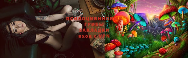 не бодяженный Абинск