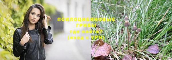 марки lsd Алзамай